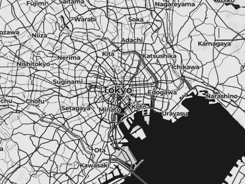 It's a picture of Tokyo in black and white monochrome colors